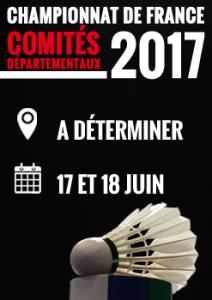 (Miniature) Championnat des Comités : la J1 les 21 & 22 janvier 2017